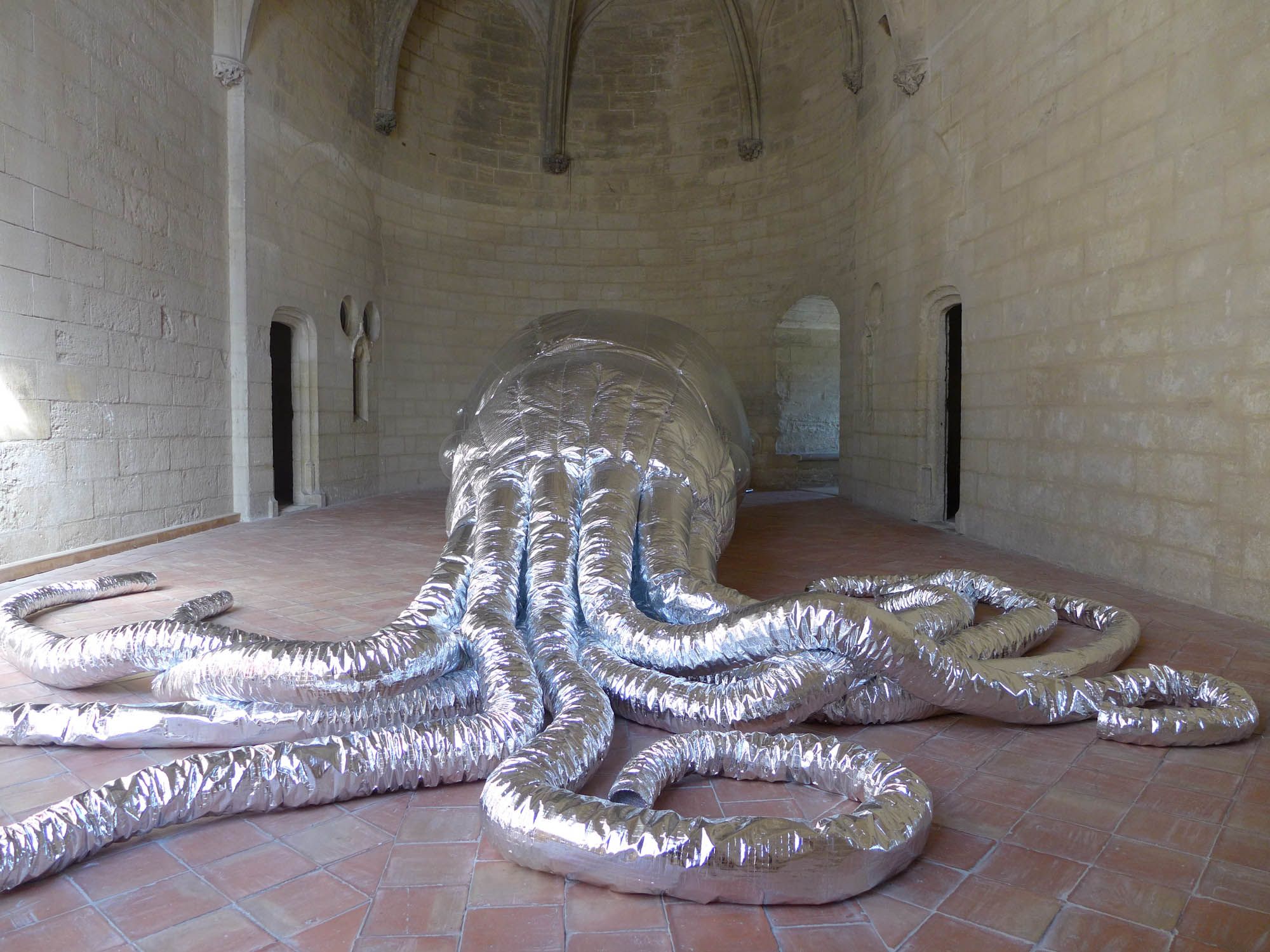 Nautilus Picardus