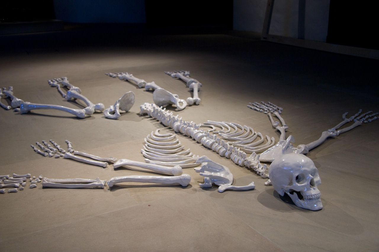 Sapiens Sapiens