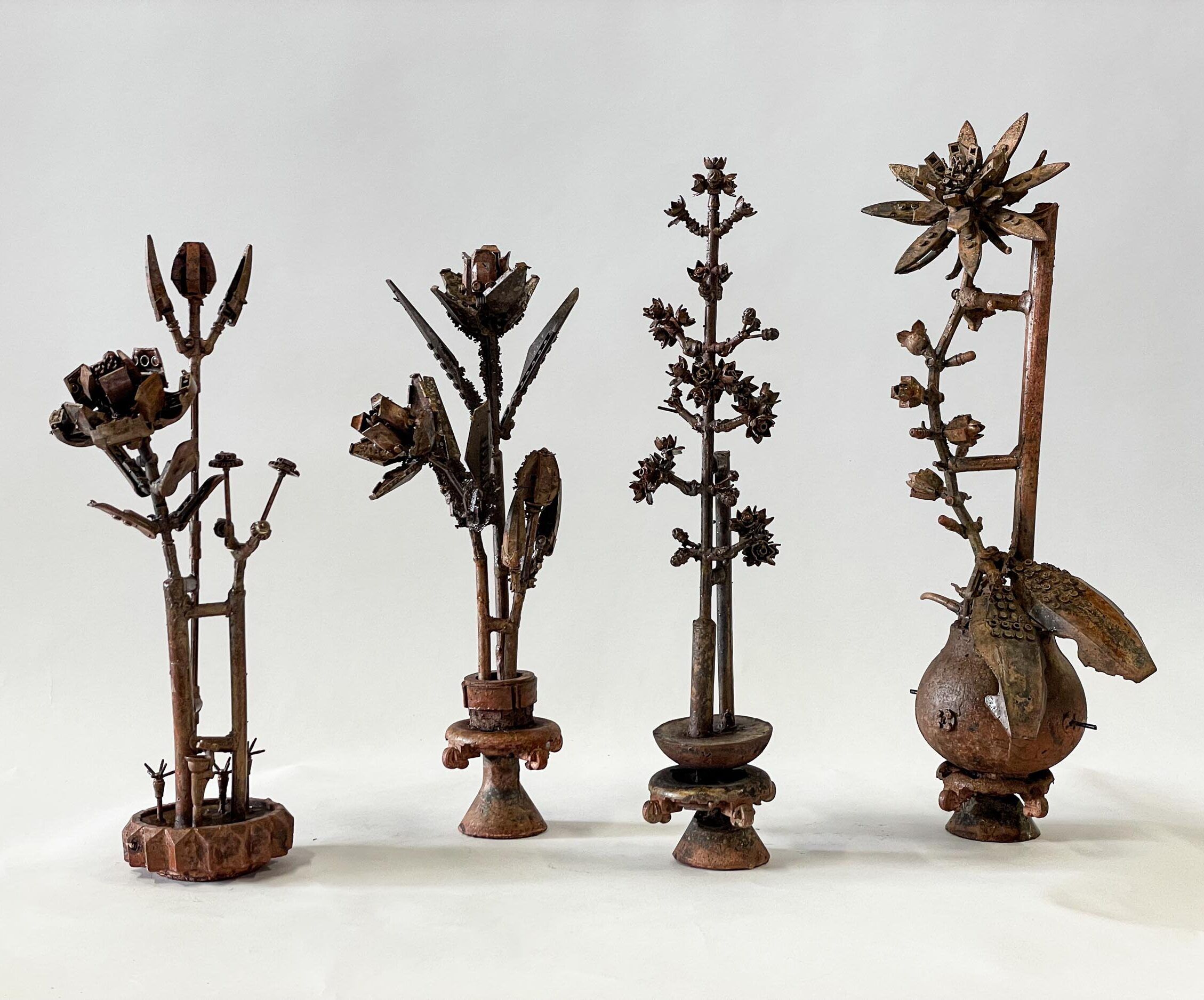 Botanicas Domesticas Plasticas