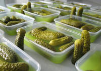 Gherkins Natural History