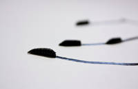 Ils ne savent pas ce qu'ils font