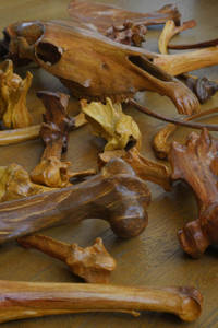 Troie, ce qu'il en reste